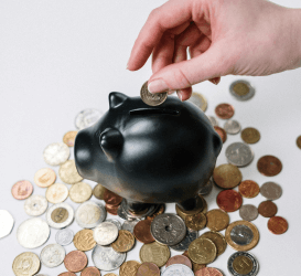 save coin in pig